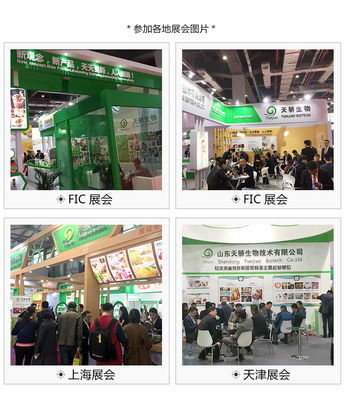Shandong Crema sin lácteos para café Leche Té Dirección Shandong